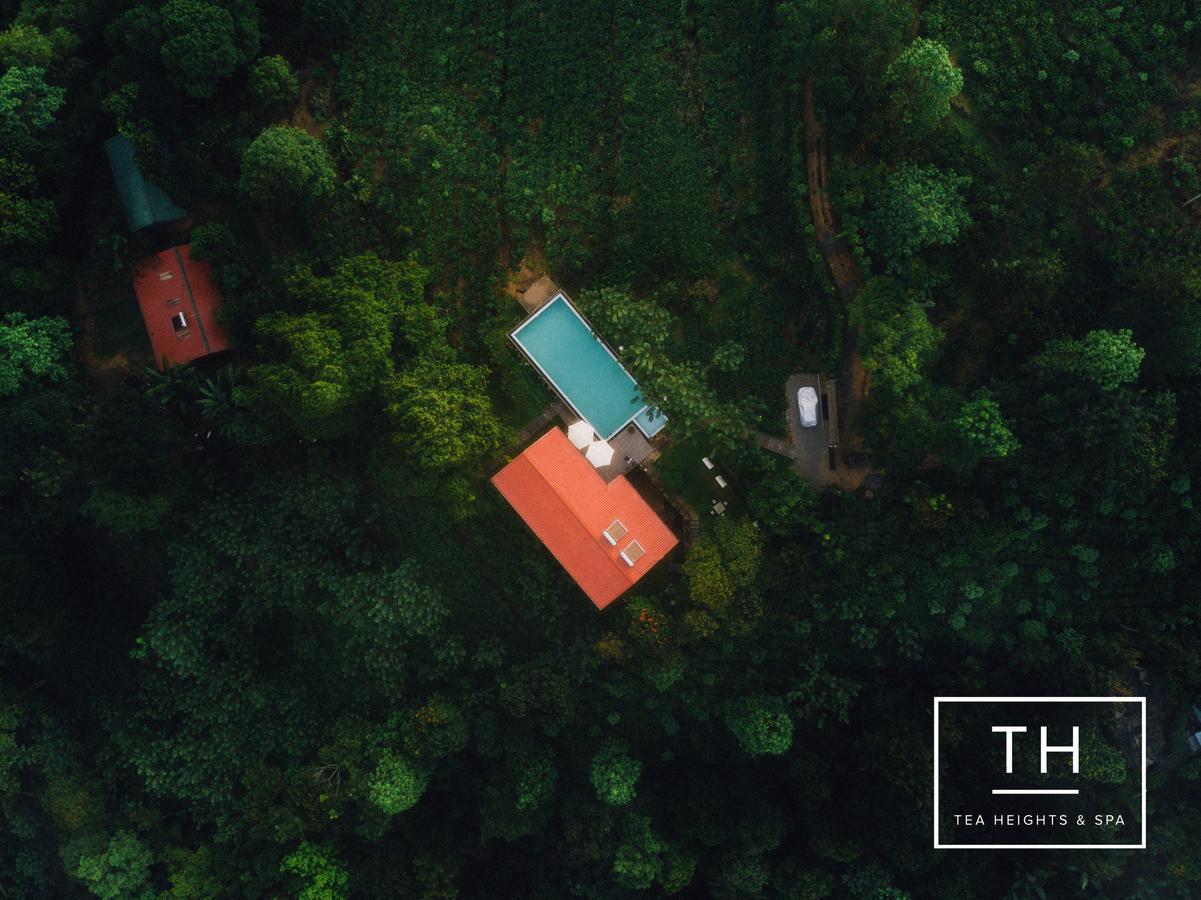 Tea Heights Hotel Kandy Exterior photo