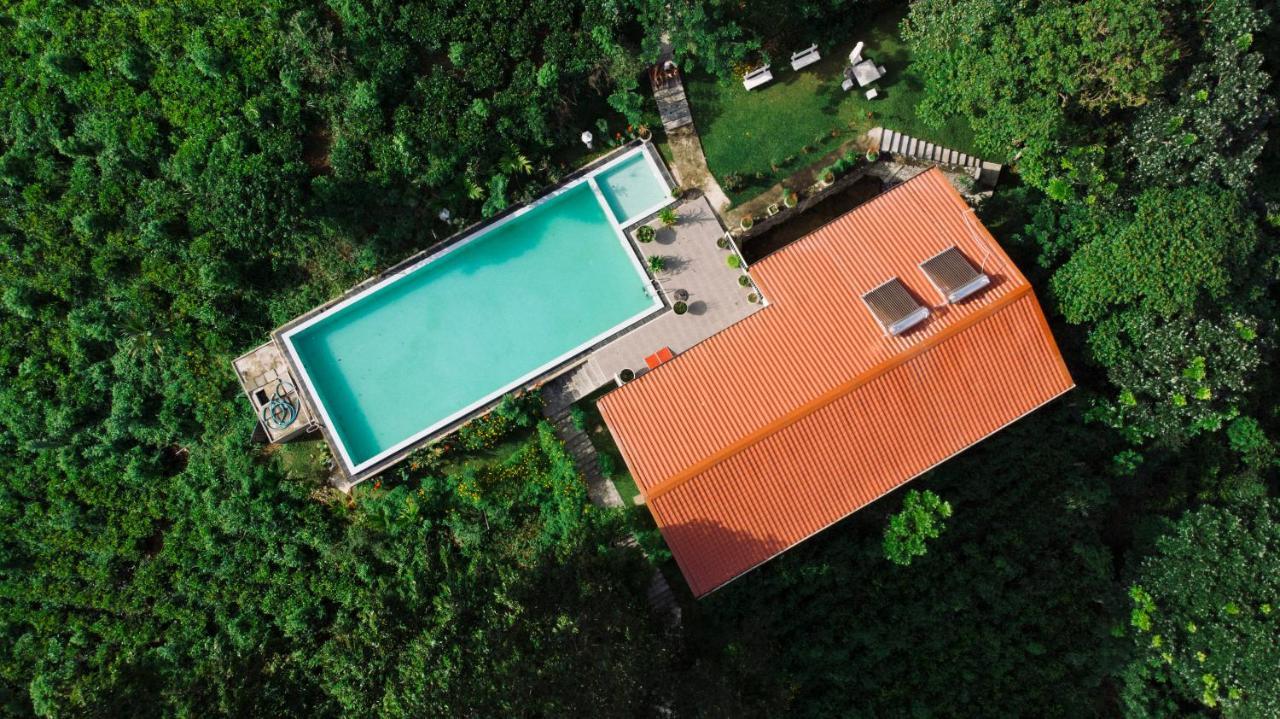 Tea Heights Hotel Kandy Exterior photo